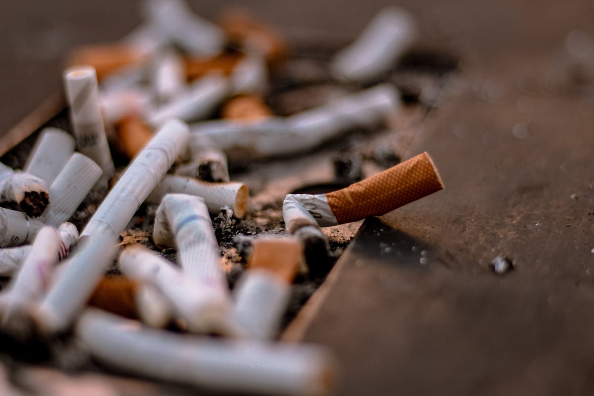 A bunch of cigarette butts