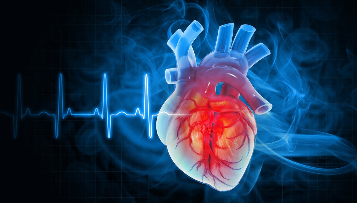 3d illustration of  heart disease with ecg background