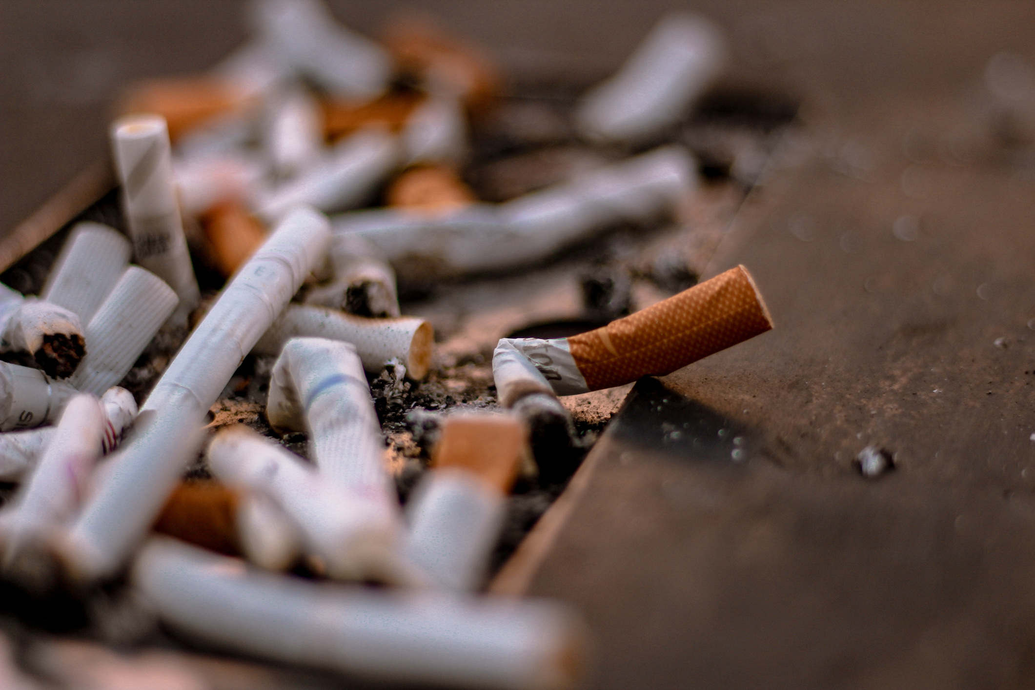 A bunch of cigarette butts